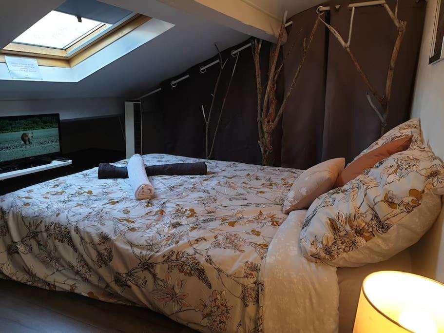 Appartement Duplexe De 1 A 4 Chambres Privees Dans Maison Le Teil Exterior foto