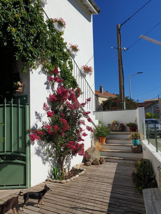 Appartement Duplexe De 1 A 4 Chambres Privees Dans Maison Le Teil Exterior foto